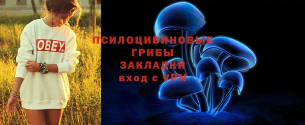 индика Аркадак