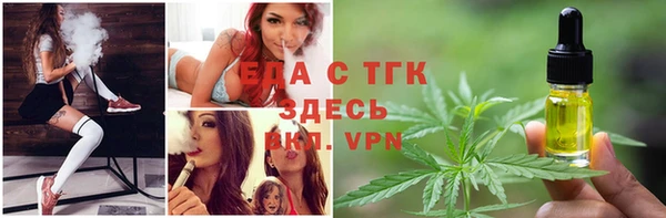 прущие грибы Осинники