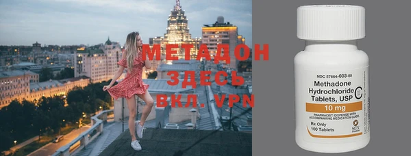 индика Аркадак