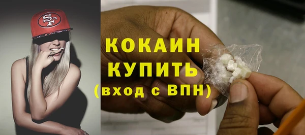индика Аркадак