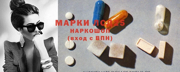 индика Аркадак