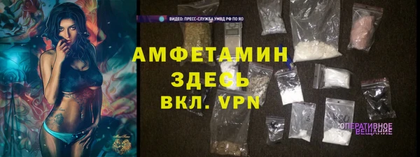 индика Аркадак